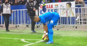 引发众怒，电讯报：摩洛哥为承办国际赛事大规模捕杀流浪狗